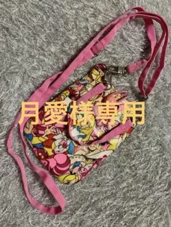 Disney ディズニー 不思議の国のアリス パスケース ショルダー ポシェット