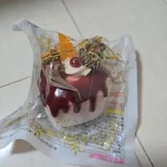 スクイーズ ケーキ チョコソースのサムネイル