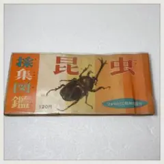 Item thumbnail for item 8d1b8d3a-2480-466c-92b6-97bf69677ae0