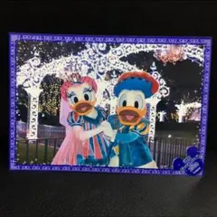 2008年 スペシャルフォト シンデレラブレーション ドナルド デイジー