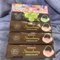 チョコレートお菓子まとめ売り（チョコレートボンボン多め）