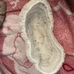 サンゴショウの入れ物