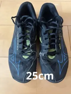 Mizuno WAVE CLAW EL 2 バドミントンシューズ
