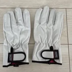 Item thumbnail for item b4c67d41-110a-421c-ace1-2144fae3ac9c