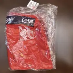 カープ　折り畳みバッグ