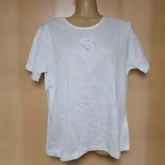 ミントグリーン刺繍入りTシャツ　フリーサイズ新品　綿100%　AREOPAGUS