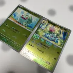 フシギダネ フシギソウ♢モンスターボール♢ エラーカード♢2枚セット