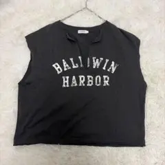 レプシィム　切りっぱなしT フレンチスリーブ　フリーサイズ　LEPSIM