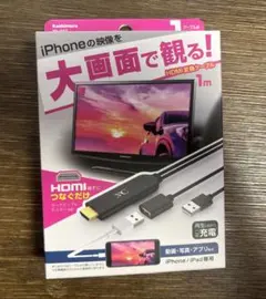 iPhoneを大画面で見る！変換ケーブル