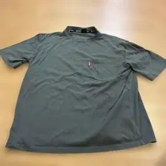 phiten グレー Tシャツ Lサイズ