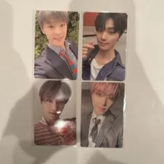 seventeen ディノ トレカ まとめ売り