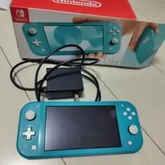 Nintendo Switch Lite 本体 【ジャンク/液晶パネル縦横線有】