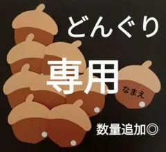 20枚(サイズ変更)