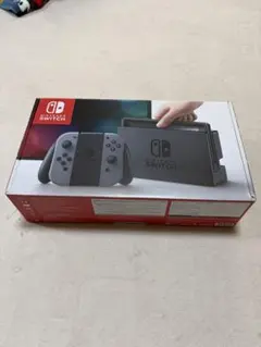 Nintendo Switch 本体 グレー マイクロSD付256GB - メルカリ