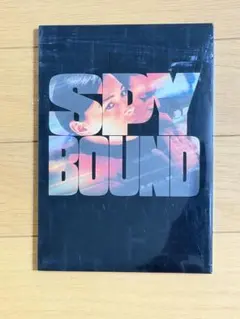 スパイ・バウンド DVD ヴァンサン・カッセル
