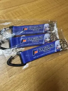 バレーボールVリーグ　フラーゴラッド鹿児島yupiteruキーホルダー3個セット