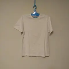 クリーム色 コットン 半袖 Tシャツ