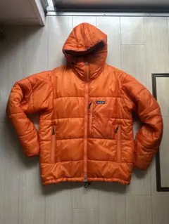 【廃盤】激レアSサイズ　03 Patagonia Das Parker