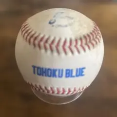 実使用】東北楽天ゴールデンイーグルス チーム練習用硬式球 2球セット