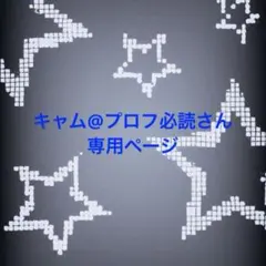キャム@プロフ必読さん専用ページ