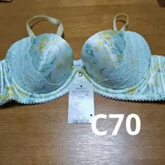 Item thumbnail for item 3477b4c2-bb49-4da5-be38-5c58827e25df