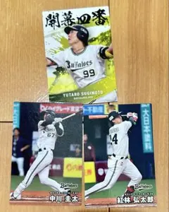 Item thumbnail for item bfad838b-bfaf-4d7c-9410-d0b658229b6f