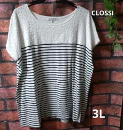 Item thumbnail for item b0a72f0a-7bc1-41db-8824-70e4dc3868c3