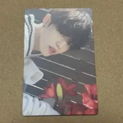 [~8/10限定出品]SEVENTEEN S.COUPS トレカ