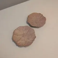 Cogu 小具 輪花小皿 - メルカリ