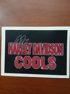 シール　ハーレーダビッドソン　バイカー　クールスCOOLS