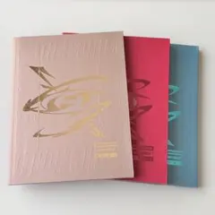 ATEEZ THE WORLD EP.FIN : WILL【3形態セット】