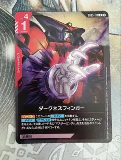 ダークネスフィンガー R