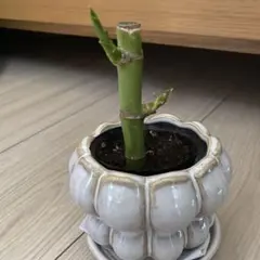 peko&nana様 リクエスト 3点 まとめ商品