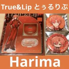 とぅるりぷ 缶バッジ はりま - メルカリ