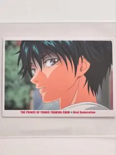 越前リョーマ　幸村精市　トレカ　描き下ろし　マイ プリンスレア　テニスの王子様 越前リョーマ 幸村精市 トレカ 描き下ろし マイ プリンスレア