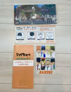 ハイキュー　東武動物公園　チケットホルダー　一式