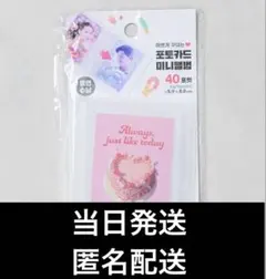 【新品】トレカケース　韓国ダイソーポカケース　　kpop