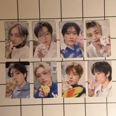 Stray Kids 4/5 STAYZONE コンプ