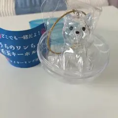 yanako様 リクエスト 2点 まとめ商品