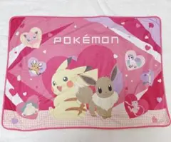 ポケモンもっとかわいいキャンペーinNAMCOナムコくじブランケット賞