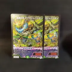 轟腕のR ダグラジャパニカン 4枚 - メルカリ