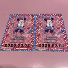 リゾートライン　ミニー　フリーきっぷ