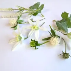 ヘッドパーツ ナチュラル
