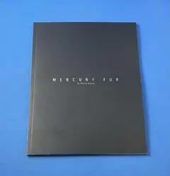 Item thumbnail for item 86a63026-0c40-47f7-8d93-f3e87e908e3b