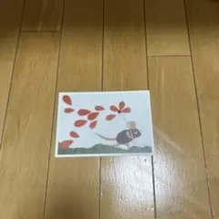 Item thumbnail for item b771a2e3-b016-4e6e-9f22-5f7ffe6be80b