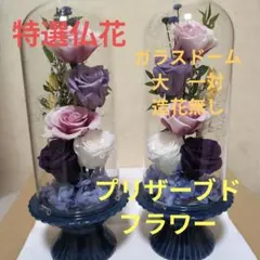 Item thumbnail for item 431a4f43-4317-4f53-959e-c8749d4217ee