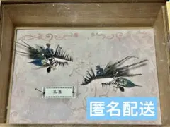 つけまつげ 孔雀 羽根 ビジュー 装飾 つけまつげ 孔雀 羽根 ビジュー 装飾 - メルカリ