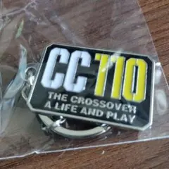 CC110 キーホルダー　２