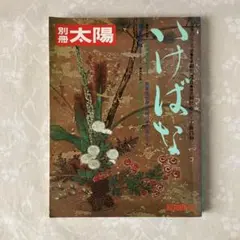 Item thumbnail for item 5077aebb-b723-4a01-a6ac-5fdc757c3646