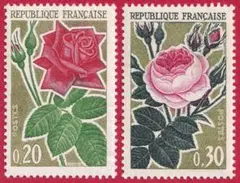 Item thumbnail for item c3f7d662-6683-4cf1-9b18-9c0428968b88